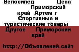 Велосипед Viva A1 › Цена ­ 12 300 - Приморский край, Артем г. Спортивные и туристические товары » Другое   . Приморский край